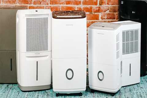 Choose The Best Dehumidifier