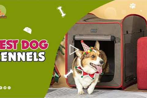 The Best Dog Kennels In 2022 | Top 5 Dog Kennels Review