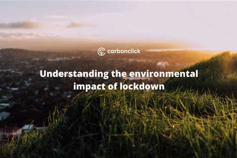 Understanding the environmental impact of lockdown — is remote working a big step toward lowering..