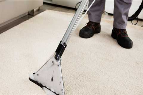 Reasons To Hire Professional Carpet Cleaner