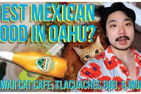 Hawaii Cat Cafe, Tlacuaches 808, Cuckoo Coconuts, & More! | OAHU, HAWAII | VLOG DAY 3