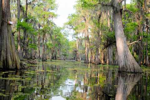 Exploring Louisiana's Cultural Events for Kids: A Guide for Families