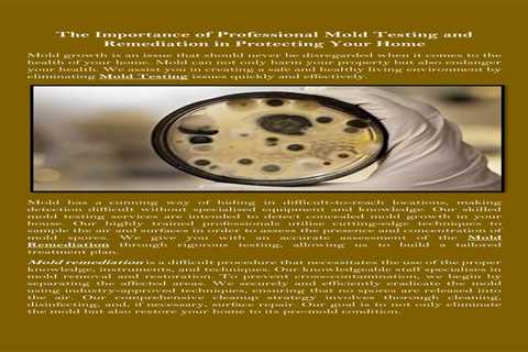 Mold Inspection Naperville IL: Understanding The Importance Of Professional Assessments