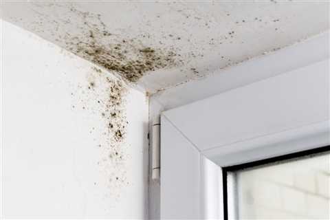 How Do You Know If Mold Has Penetrated Drywall?