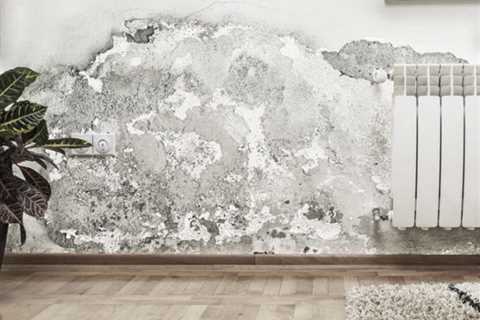 How Fast Does Mold Spread On Drywall?