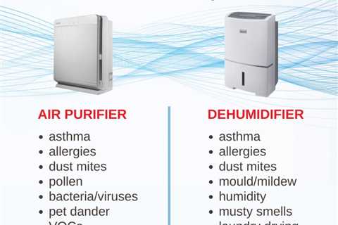 Is A Dehumidifier Or Air Purifier Better For Preventing Mold?