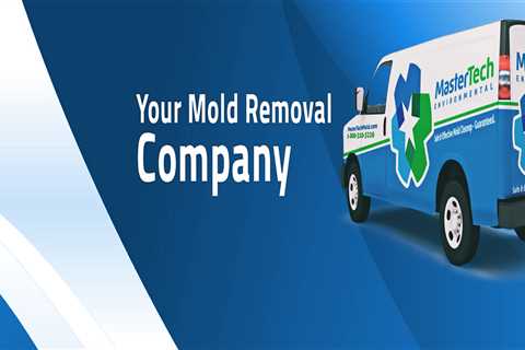 Mold Inspection Companies