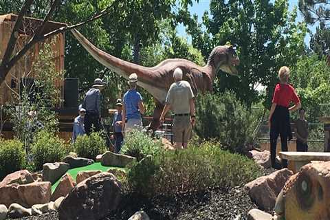 Mini Golf in Colorado Springs: A Comprehensive Guide