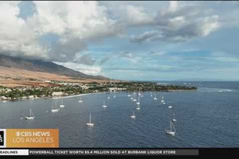 Should tourists travel to Maui?