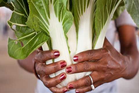 Double Up Food Bucks Benefits: Get Access to Healthy Food at Farmers Markets in Tarrant County