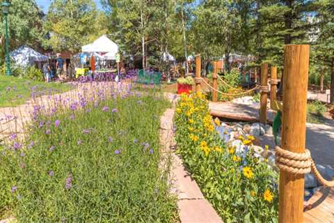 Picnic Areas in Colorado Springs: Enjoy the Great Outdoors