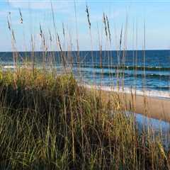 Exploring the Wild Side: Tourist Attractions in Currituck County, NC