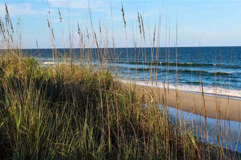 Exploring the Wild Side: Tourist Attractions in Currituck County, NC