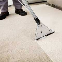 6 Benefits of Hiring a Professional Carpet Cleaning Service You Need to Know - HammBurg