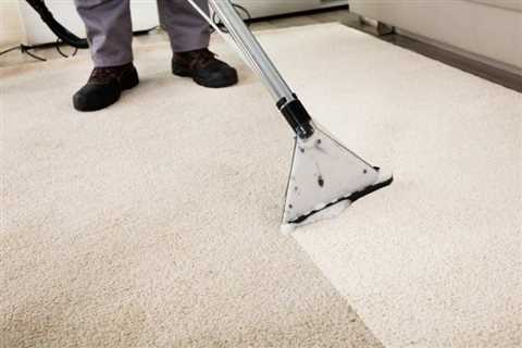 6 Benefits of Hiring a Professional Carpet Cleaning Service You Need to Know - HammBurg