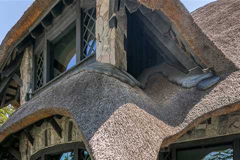 The Significance of Thatched Roofs in Traditional Hawaiian Homes