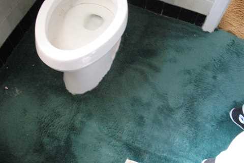 Why You Shouldn't Put Carpet in the Bathroom