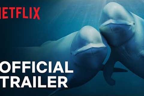 Our Oceans | Barack Obama | Official Trailer | Netflix