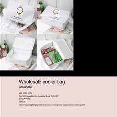 wholesale cooler bag