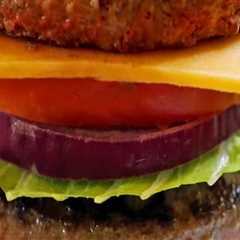 The Evolution of Burger Houses in Southern Mississippi