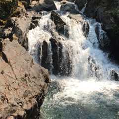 Uncovering the Hidden Gems: A Foodie's Guide to Western Washington