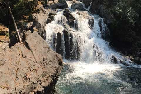 Uncovering the Hidden Gems: A Foodie's Guide to Western Washington